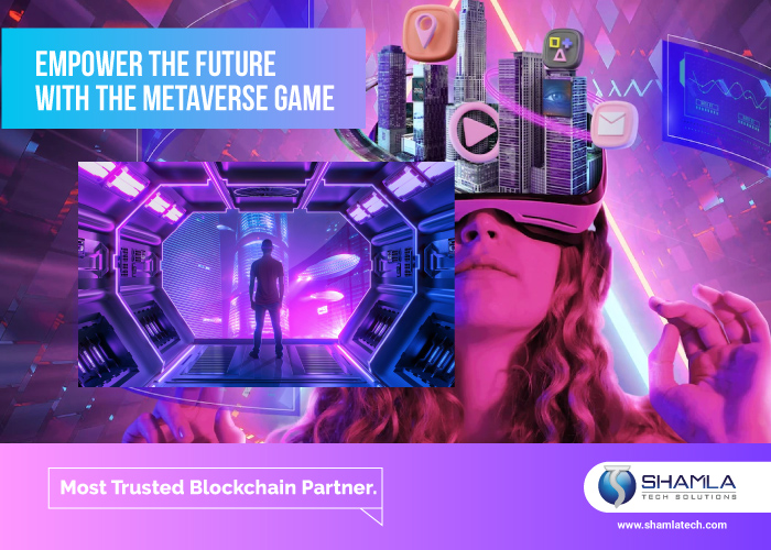 Metaverse Game