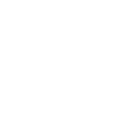 AI Model Fine Tuning