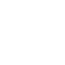 AI Model Architecting