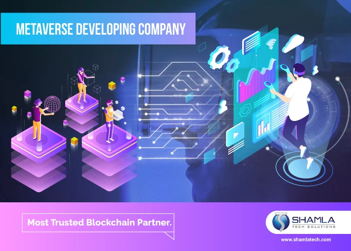 Metaverse Solutions Company