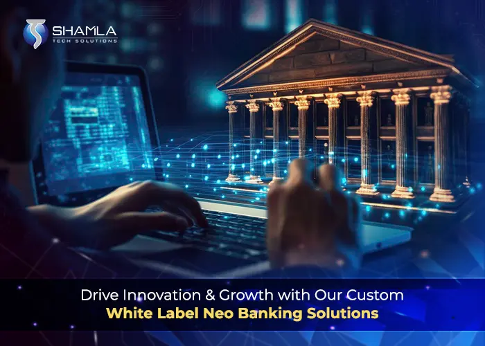 Whitelabel Neo Banking Development