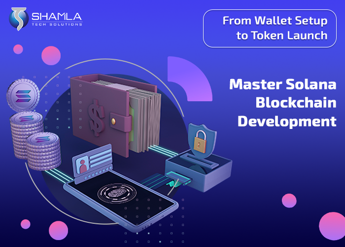 04_09_-Master-Solana-Blockchain-Developm