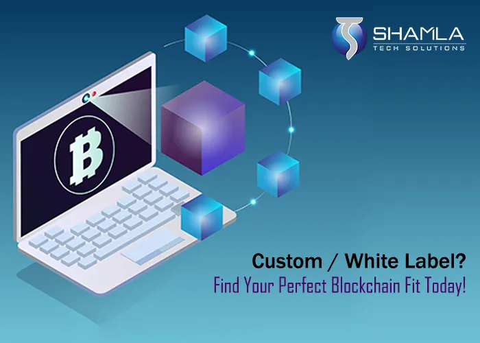 Custom vs White Label Blockchain Solutions