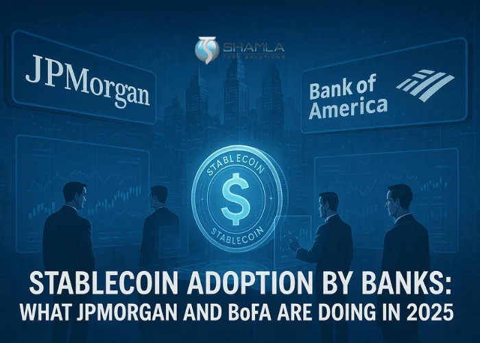 stablecoin adoption