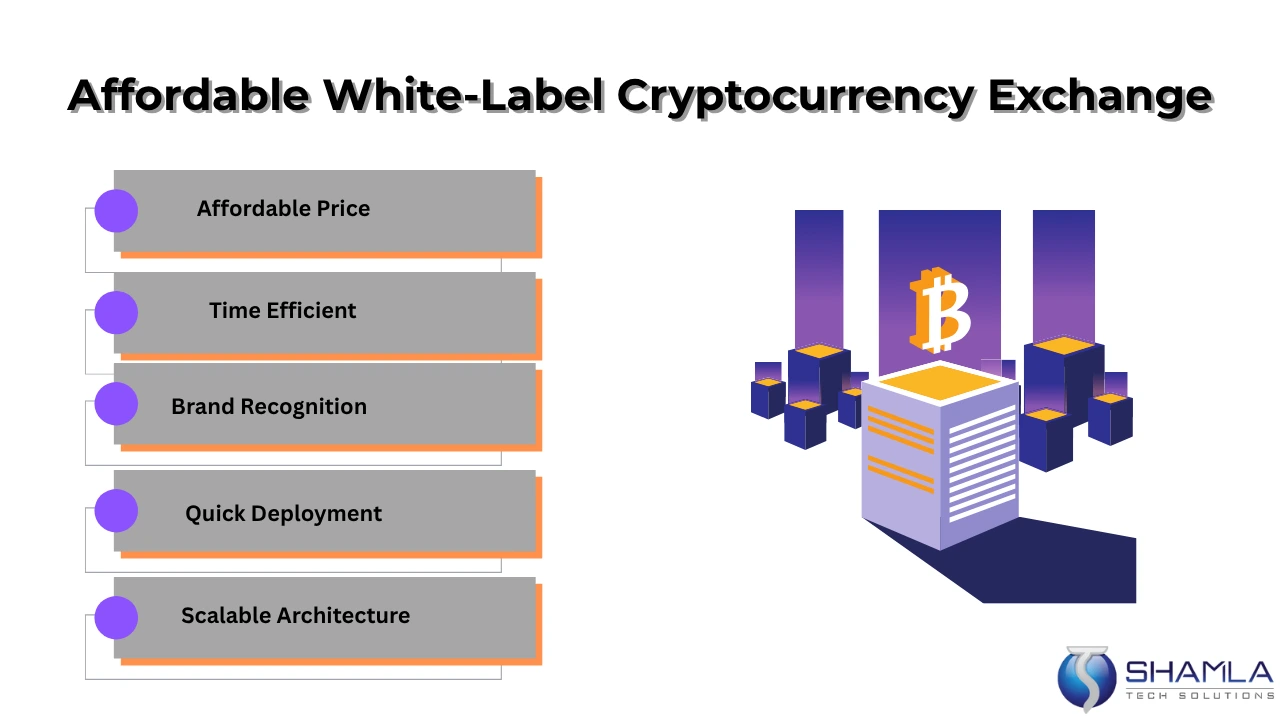 cost to create white label crypto exchange -