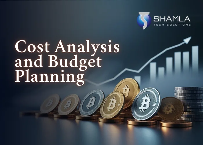 Cost Analysis and Budget Planning