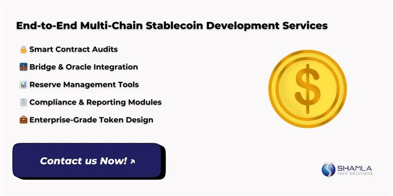 Multi-chain stablecoins development company