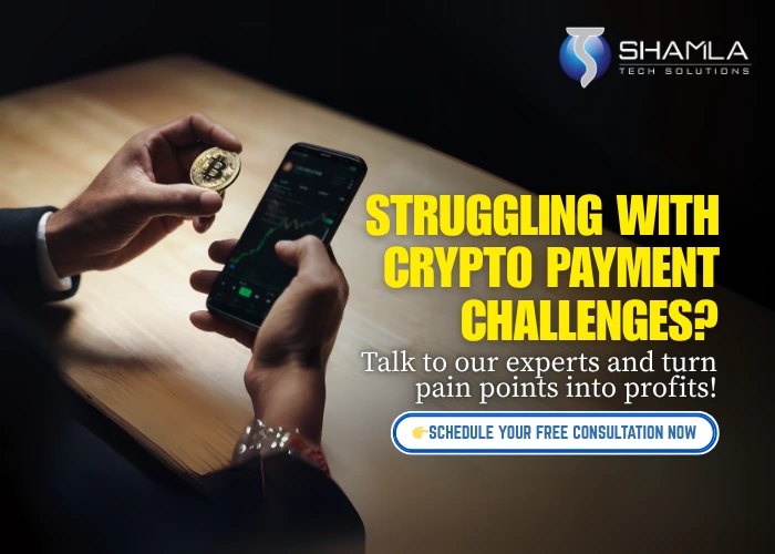 Pain Points and Opportunities of Crypto Payments