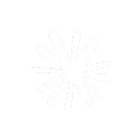 Anthropic