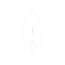 MongoDB