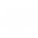 Salesforce 1