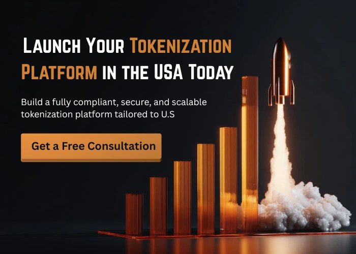 How to launch a tokenization platform in the USA