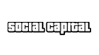 SOCIAL-CAPITAL.webp