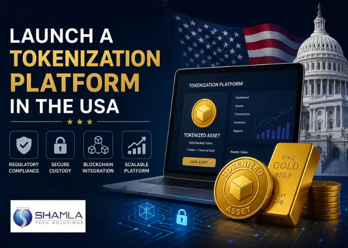How to launch a tokenization platform in the USA