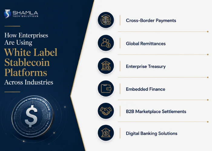 How Enterprises Are Using White Label Stablecoin Platforms Across Industries