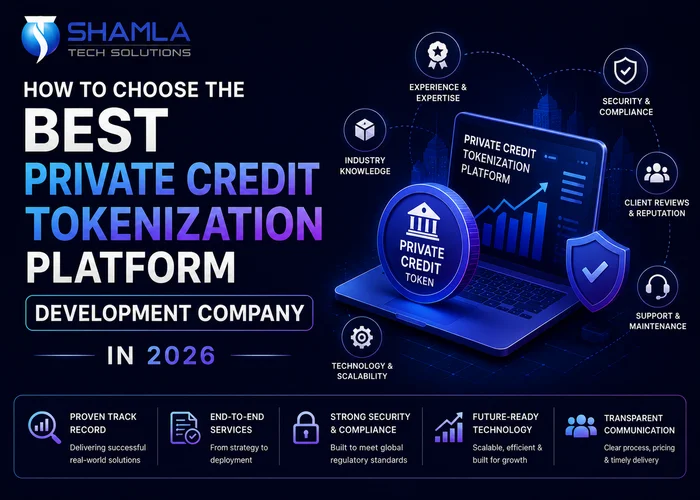 Best Private Credit Tokenization Platform Development Company
