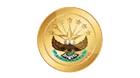 Coinegale icon