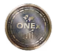 OneX_converted